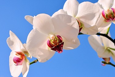 嘉兴海宁3空放急用钱贷款|生意借钱周转|嘉兴海宁3急用钱个人贷款